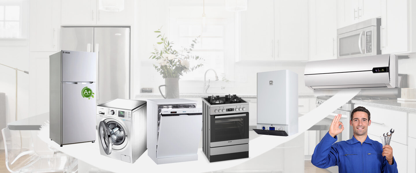 İyidere Smeg Servisi